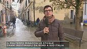 Da Empoli la pinea dell'Arno