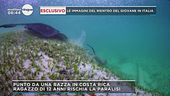 Ragazzino ferito da una razza