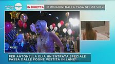 GFVIP: l'ingresso di Antonella Elia