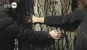 La protesta per salvare gli alberi