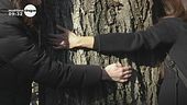 La protesta per salvare gli alberi