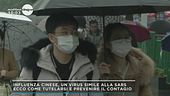 Influenza cinese, un virus simile alla sars