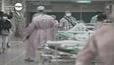 L'epidemia della Sars