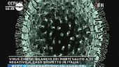 Coronavirus, un caso sospetto a Bari