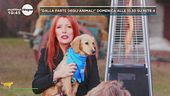 "Dalla parte degli animali"