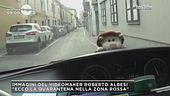 La quarentena della zona rossa