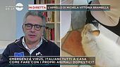 Gli animali possono essere portatori di contagio?