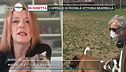 L'appello di Michela Vittoria Brambilla