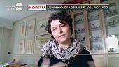 Virus e allergie, simili ma diversi