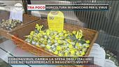 Coronavirus, cambia la spesa degli italiani