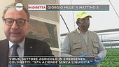 Agricoltura in ginocchio: in diretta Giorgio Mulè