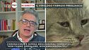 Coronavirus e animali: Ne parla il Prof. Pregliasco