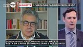 Virus, come funzionano gli anticorpi