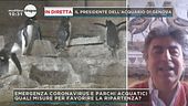 Il Presidente dell'Aquario di Genova