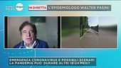 In diretta  l'epidemiologo Walter Pasini