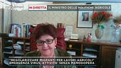 Teresa Bellanova: "Regolarizziamo i migranti che lavorano nei campi agricoli"