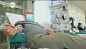 Virus: la plasmaterapia
