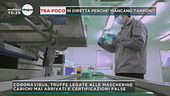 Coronavirus, truffe legate alle mascherine