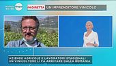 In diretta un imprenditore vinicolo