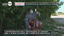 Verona: un musicista in fattoria