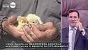 Il virus e la riconversione agricola