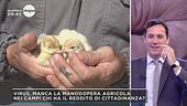 Il virus e la riconversione agricola