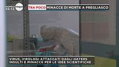 Coronavirus, 4 virologi attaccati dagli haters