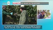 Intervista telefonica ad Al Bano