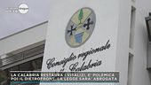 La restaurazione del vitaliazio