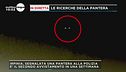 Le ricerche della pantera