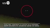 Avellino, è caccia alla pantera