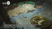 Avellino, bambini salvati dal degrado