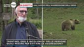 Trentino, in diretta dal luogo dell'aggressione dell'orso