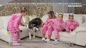 Il cane di Clemente Russo e Laura Maddaloni