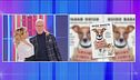 Guido Bagatta: "Chiama il cerca animali"