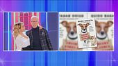 Guido Bagatta: "Chiama il cerca animali"