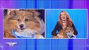 Dalla parte degli animali - Ogni domenica ore 10.50 su Rete4