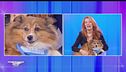 Dalla parte degli animali - Ogni domenica ore 10.50 su Rete4