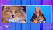 Dalla parte degli animali - Ogni domenica ore 10.50 su Rete4