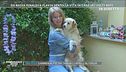 La vita in casa di Flavia Vento con i suoi sette cani
