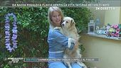 La vita in casa di Flavia Vento con i suoi sette cani
