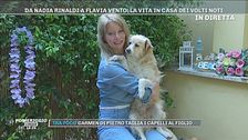 La vita in casa di Flavia Vento con i suoi sette cani