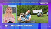 Il centro che si occupa dei cani orfani delle vittime di coronavirus