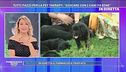 Tutti pazzi per la pet therapy