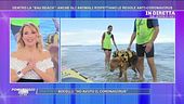 Pronta a ripartire anche la spiaggia dedicata ai nostri amici animali