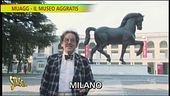 Muagg - Il Museo Aggratis