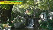 Giardino giapponese in casa
