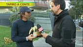 Tapiro d'oro ad Antonio Conte