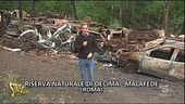 Il canale delle auto
