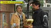 Tapiro d'oro a Marco Columbro